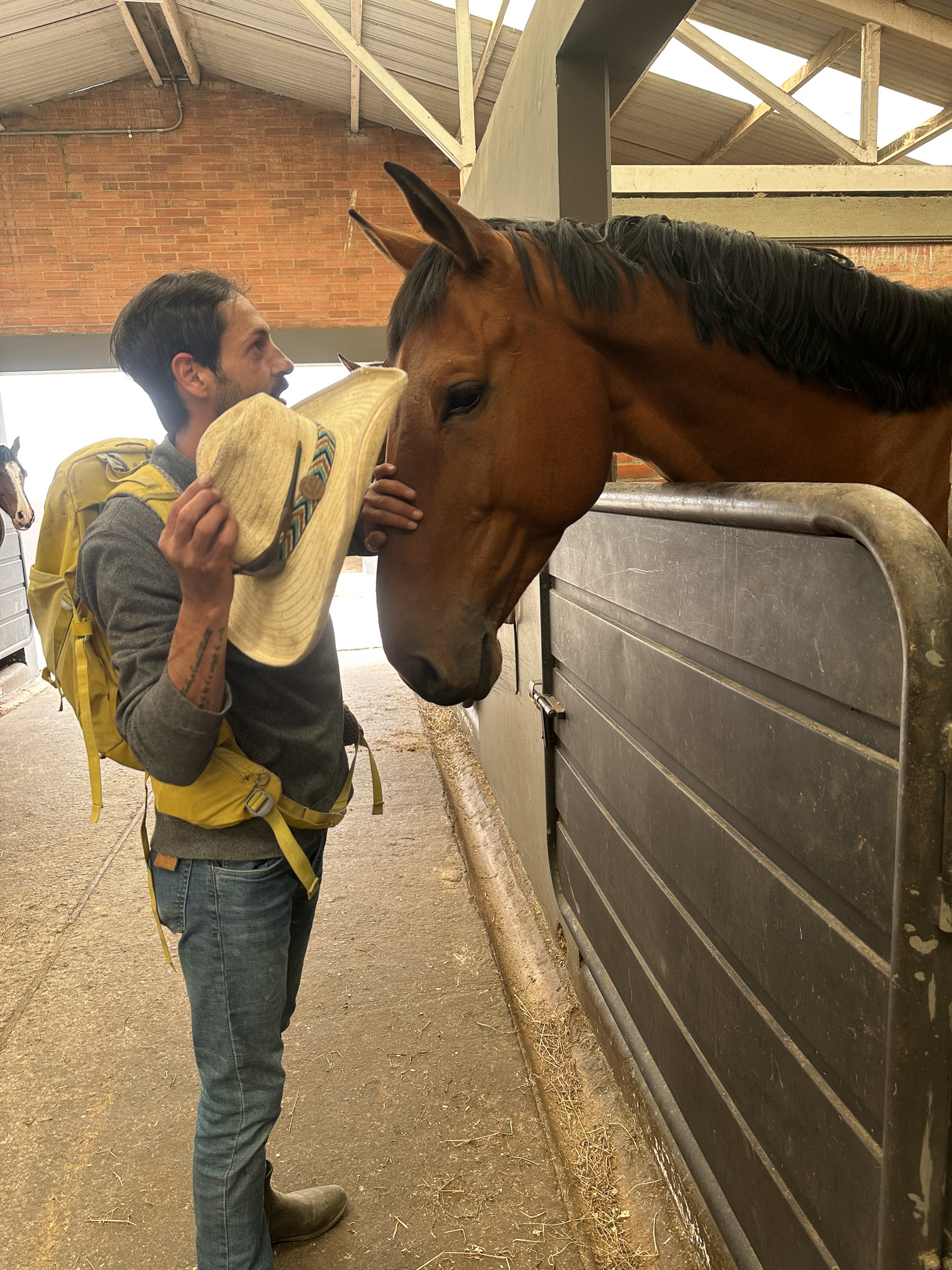 Galería del evento Caballos con Alas