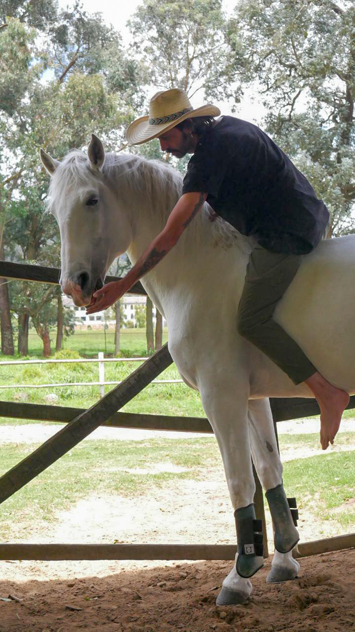 Galería del evento Caballos con Alas