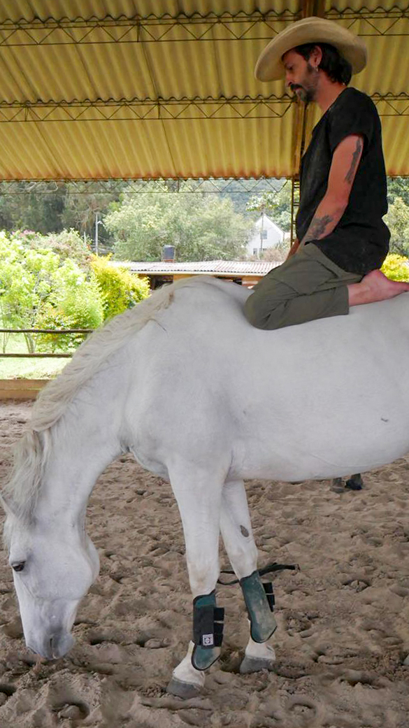 Galería del evento Caballos con Alas